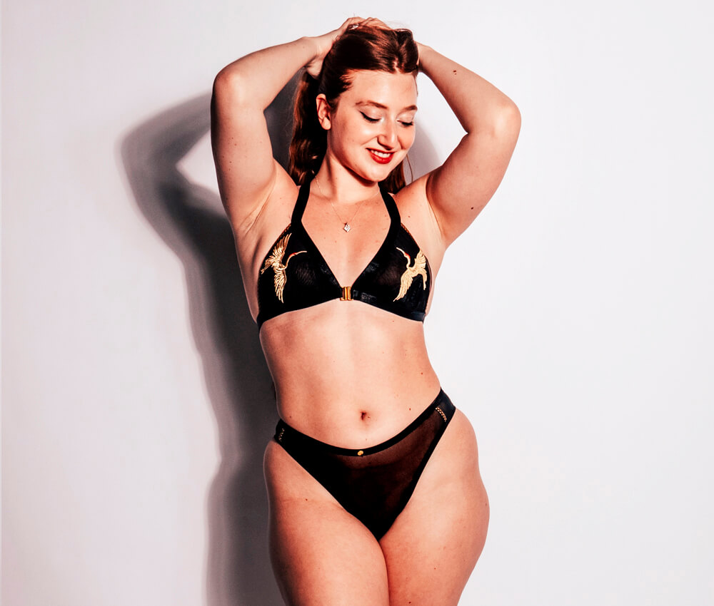 Black & Gold Sheer Mesh Knickers - High Leg Vkini Panty