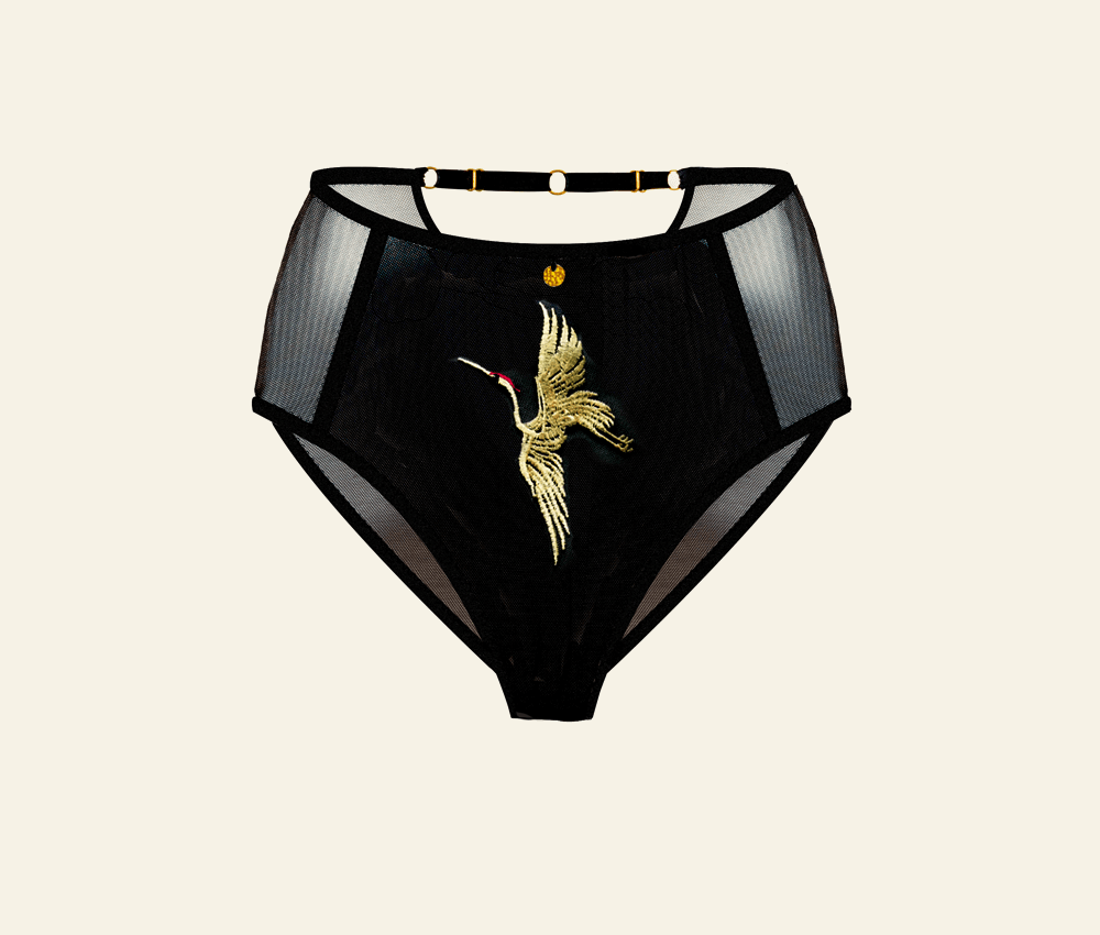 Black & Gold Sheer Mesh Knickers - High Leg Vkini Panty