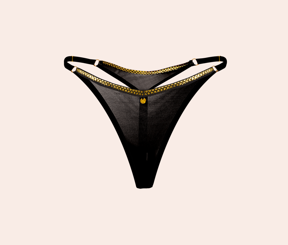 Black & Gold Sheer Mesh Knickers - High Leg Vkini Panty