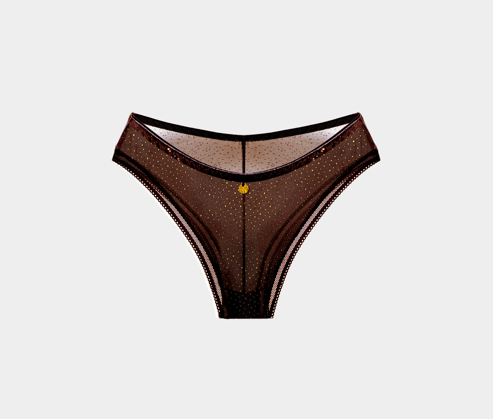 Brown Sheer Mesh Brazilian Panties